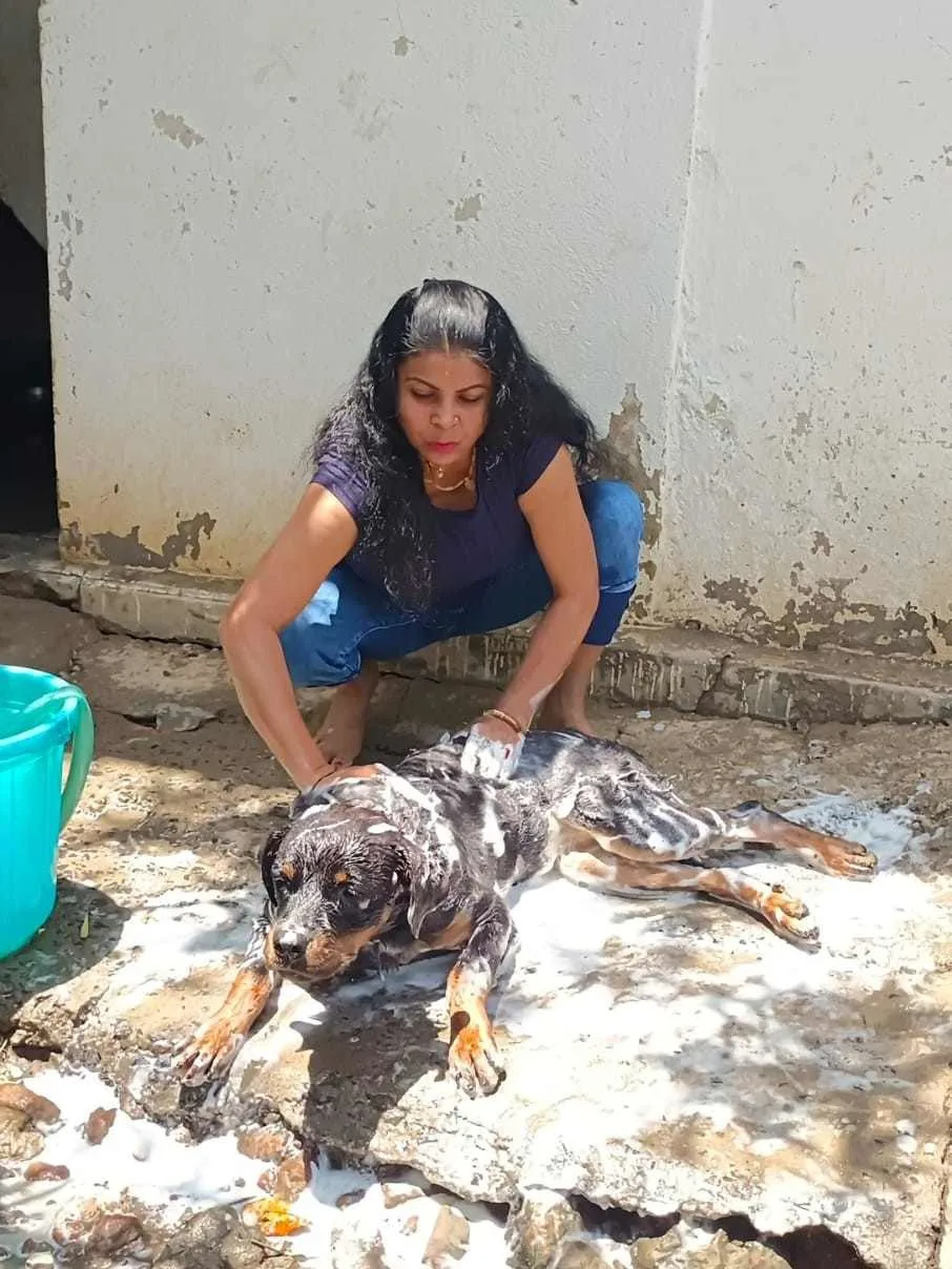 Animal welfare moment 4